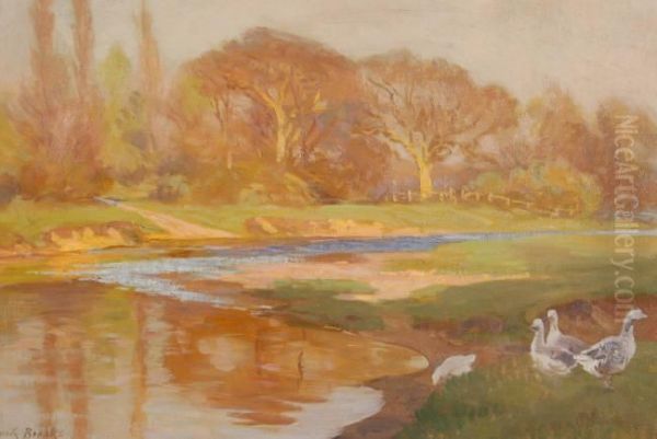 Untitled - view 1