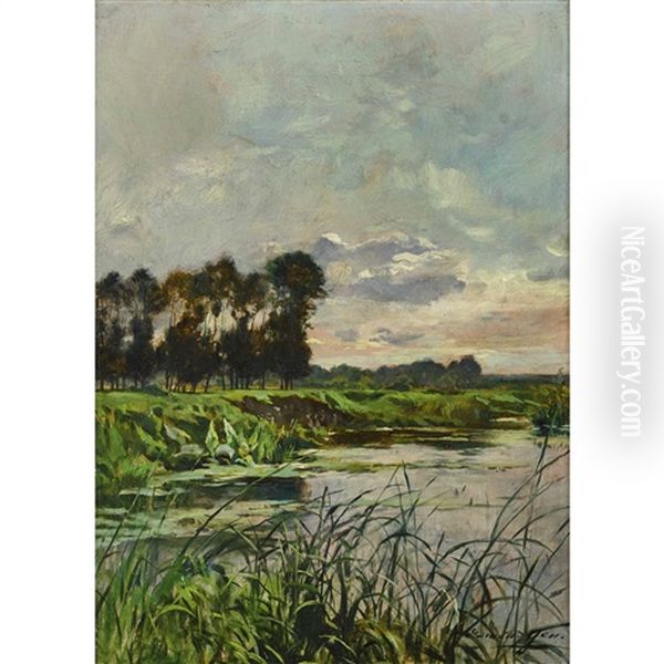 Bords De La Somme - view 1