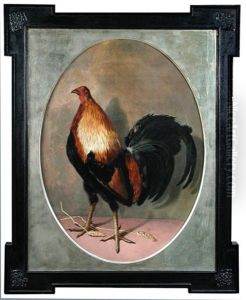 A Black Red Carlisle Old English Game Cock by Eliot Thomas Yorke