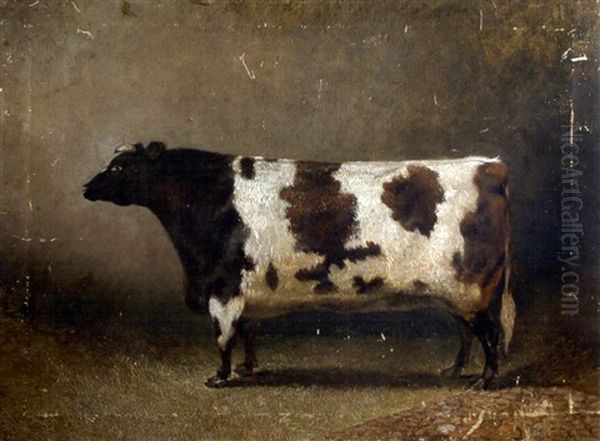 The Wimpole Heifer, "honeycomb" - view 1