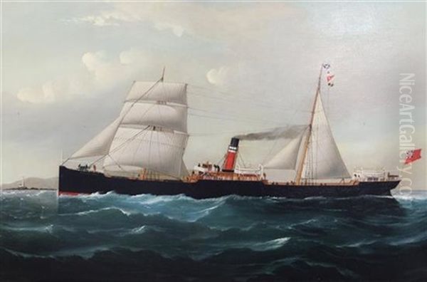 The Steamer 'highland Lassie' - view 1