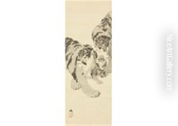 Tigar - view 1