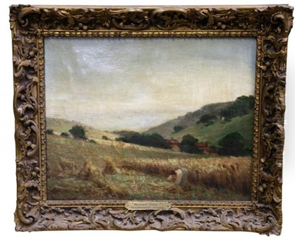 Harvest Time - view 1