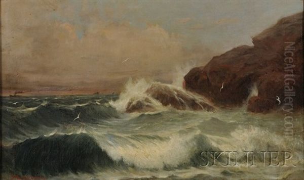 Coastal Scene - view 1