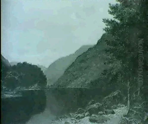 Pine Trees By The Edge Of A Loch - view 1