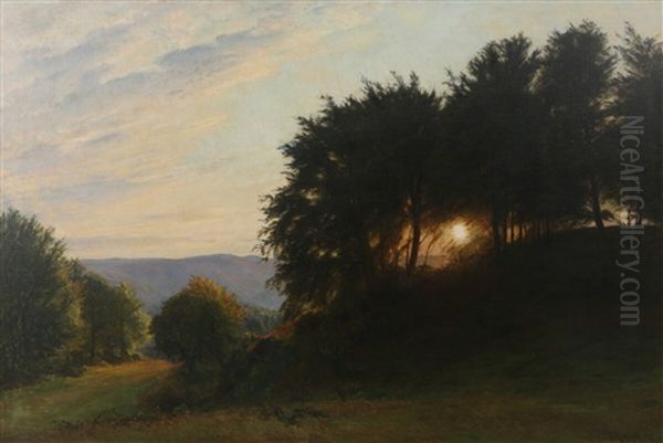 Sunset In A Forest - view 1