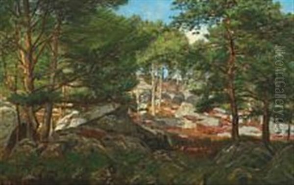 A Pinewood Forest With Larger And Smaller Boulders - view 1