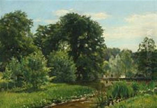 Forest Lake - view 1