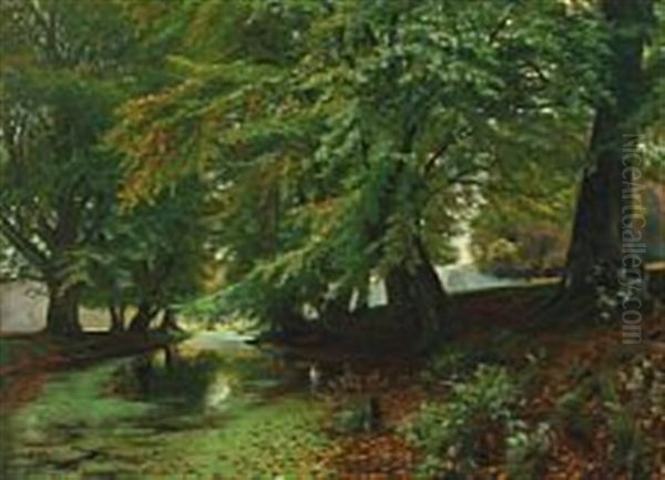 Forest Scenery - view 1