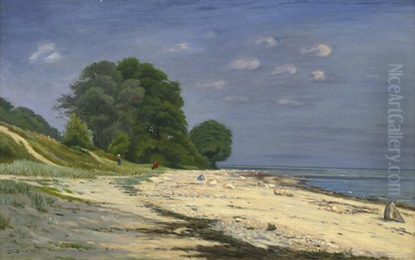 Sommerliche Strandszene In Danemark - view 1