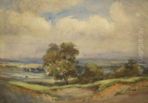 Open Landscape by Mary Mason Brooks