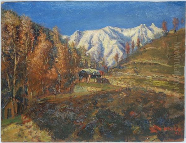 Valcamonica - view 1