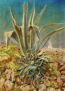 An Agave On A Stone Wall, In The Background St. Peter's Basilica
