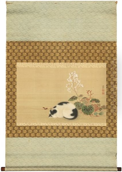 A Cat Asleep Beside Plants - view 1