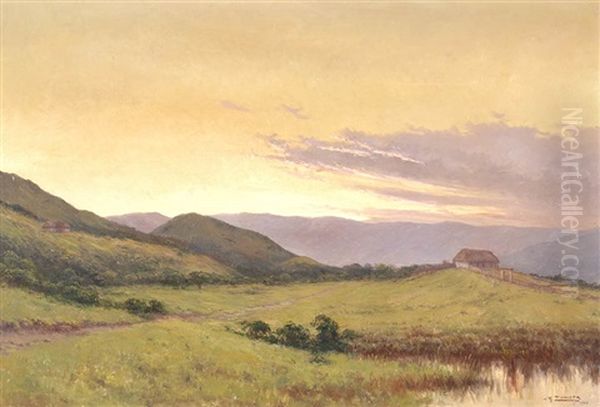 South-american Landscape - view 1