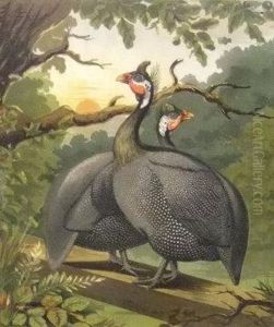 "guinea Fowls" by Vincent Brooks