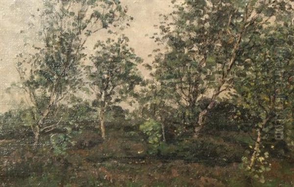 Landscape With Birches - view 1