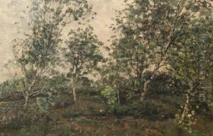 Landscape With Birches by Jan Adam Zandleven