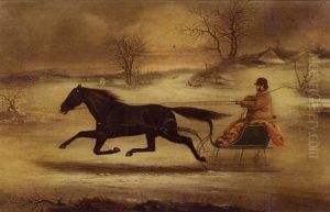 Sleigh Drawn By A Black Horse