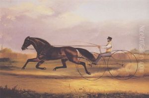 A Fast Trotter A Fast Trotter