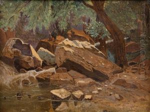 Forest Creek by Ilya Zankovsky