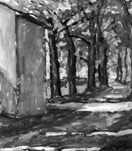 Von Baumen Gesaumter Weg Im Sonnenschein Von Baumen Gesaumter Weg Im Sonnenschein