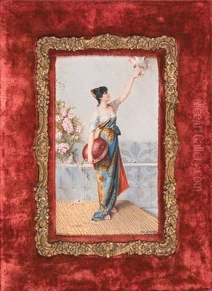Le Bel Oiseau - view 1