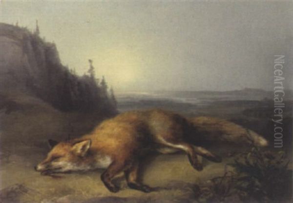 Erlegter Fuchs Mit Weiten Blick In Die Landschaft - view 1