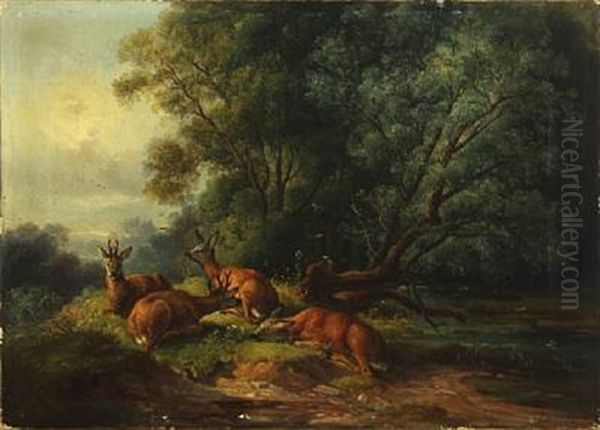 Deers In A Forest - view 1