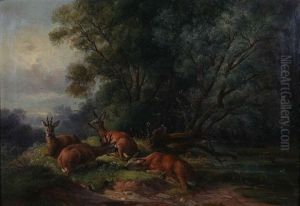Sous-bois Anime De Quatre Cerfs