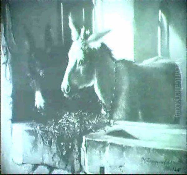 Stallinterieur Mit Zwei Esln An Einer Steinernen Futterkrippe - view 1