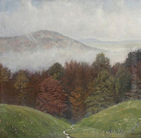 Nebel Im Tal - view 1