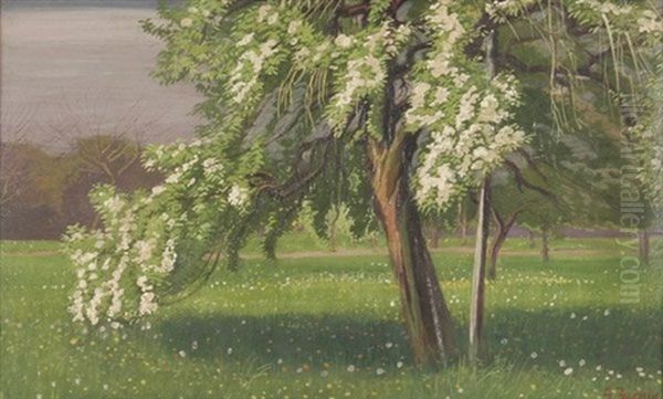 Fruhlingslandschaft Mit Bluhendem Baum - view 1