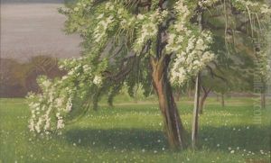 Fruhlingslandschaft Mit Bluhendem Baum