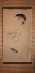 Leaping Carp