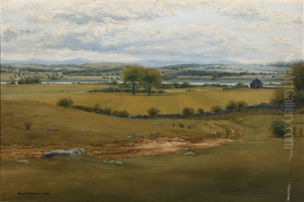 De Hvide Bjege - view 1