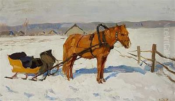 Hest Med Kane I Sneen - view 1