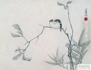 Vogel Auf Einem Zweig Vogel Auf Einem Zweig
