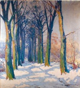 L'allee D'arbres Sous La Neige