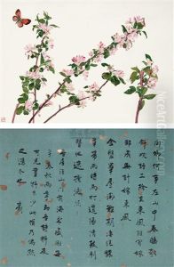 Calligraphy Calligraphy