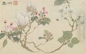 Flowers (studies) (album W/8 Works) by  Zhao Haogong