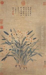 Narcissus Narcissus