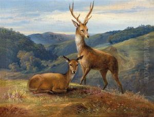 Rotwild In Weiter Landschaft by Gustav Zick