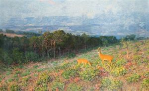 Rehe Auf Der Lichtung