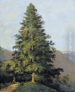 Tanne Im Tossrein by Jacob Christoph Ziegler
