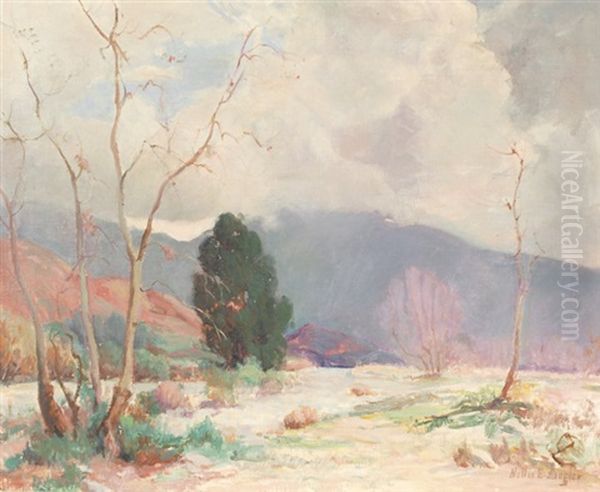 California Desert Landscape - view 1