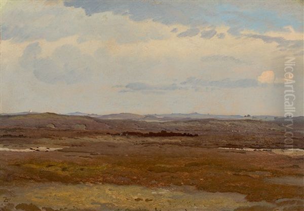 Heath Landscape In Jutland - view 1