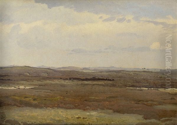 Jutlandische Heidelandschaft - view 1