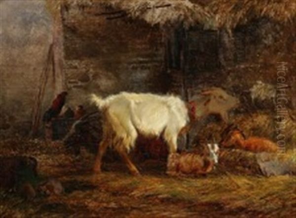 Stable Interior With Goats, Rabbits And Chickens - view 1