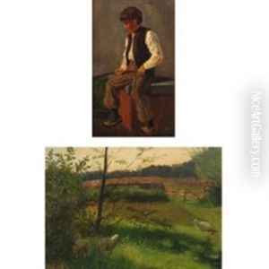 Youth And Scenery With Sheep Youth And Scenery With Sheep
